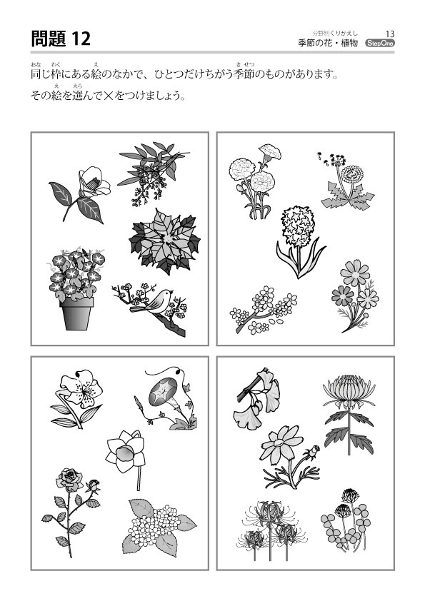 分野別くりかえし 季節の花 植物 のびラボ 幼児教材 小学校受験 学習プリントのダウンロード販売